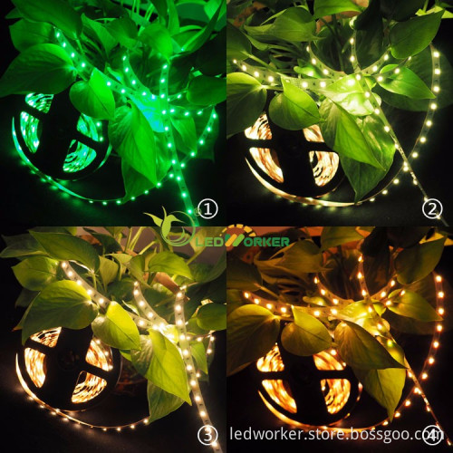 12V/24V 5050 RGB Music Sync Color Changing LED Strip Light